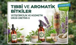 Artvin’de Tıbbi Aromatik Bitkiler Eğitimi Başlıyor