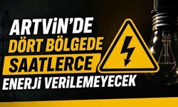 Dikkat! Artvin’de Çok Sayıda Köyde Elektrik Kesilecek