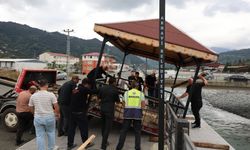 Dereboyu Güzergâhına Kamelyalar Yerleştiriliyor