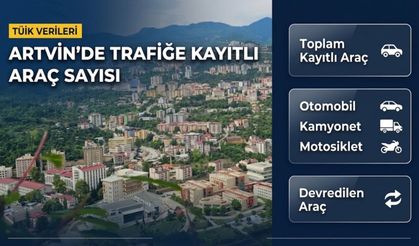 Artvin’de Trafiğe Kayıtlı Kaç Araç Var?
