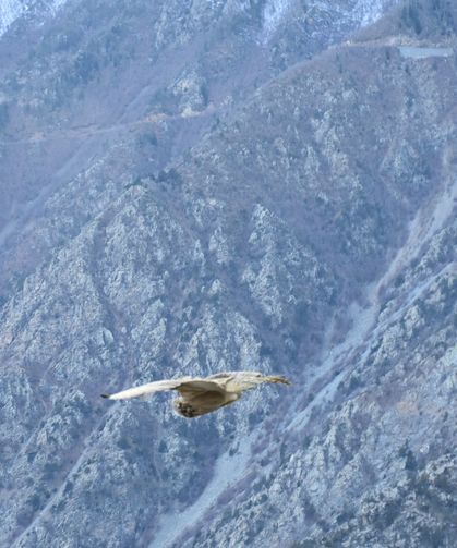 Yeniden Gökyüzüyle Buluştu