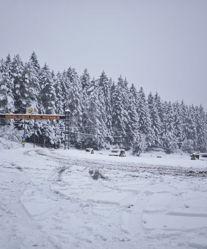 Kafkasör Yaylası Karla Kaplandı