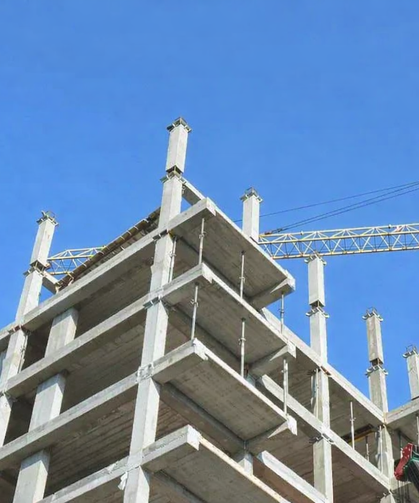 Ruhsatta Rekor Artış