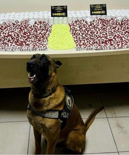 Artvin’de Uyuşturucu Operasyonu