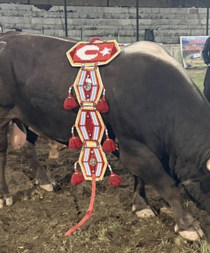 MERALARIN EFENDİSİ POYRAZ