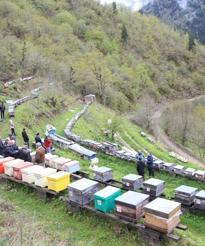 Apiturizmde Gelecek Vadediyor