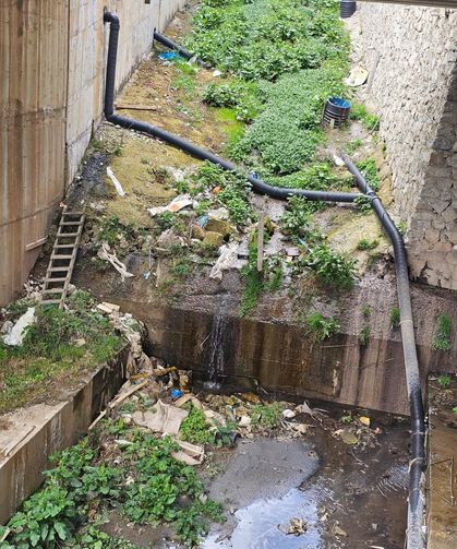 Dere Kirliliği Vatandaşları Rahatsız Ediyor