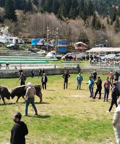 Geleceğin Boğaları Arenada