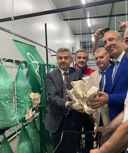 Artvin Üretti: İlk Hasat Gerçekleştirildi