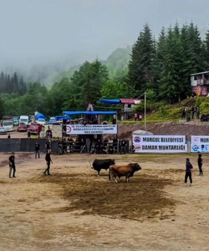 Damar Festivali’nde ilk günün şampiyonları belli oldu