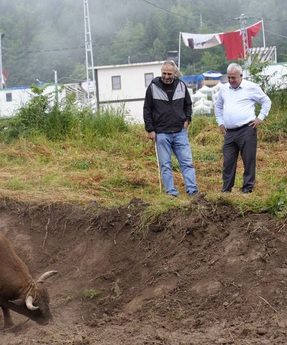 Festival Mesaisi Sürüyor