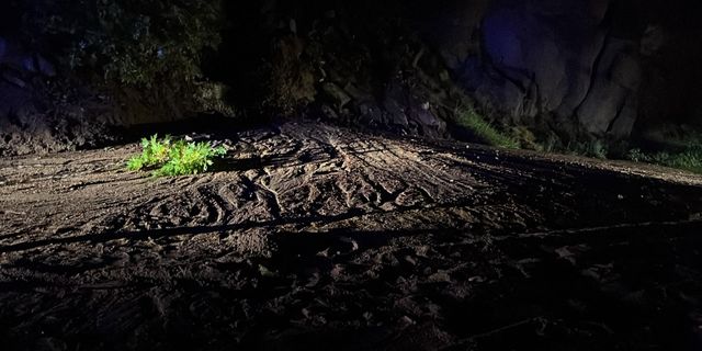 Aydemir’den Şavşat yolu açıklaması: “Üç bakanlık koordineli çalışıyor”