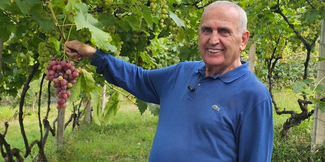 20 Dönümde Doğal Üretimle Dünya Pazarına Açılan Şarap