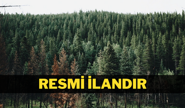 ORMANCILIK ÇALIŞMALARININ TAKİBİ VE KONTROLÜ HİZMETİ ALINACAKTIR