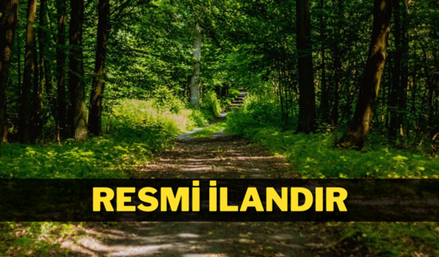 ORMAN YOLU YAPTIRILACAKTIR