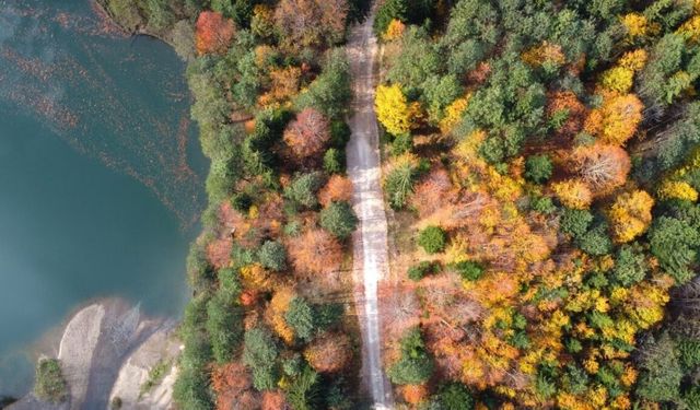Artvin’in doğal güzelliğini keşfedin