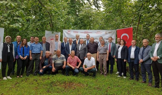 Kahverengi kokarca ile biyolojik mücadele başlatıldı