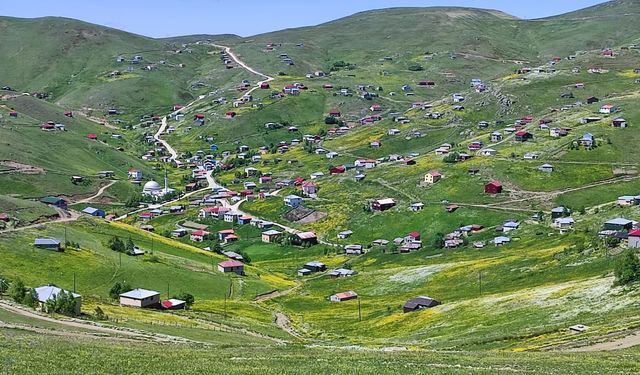 Yaylalar bahar çiçekleriyle renklendi