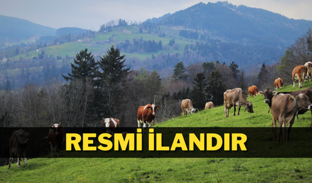 DEMİRKENT KÖYÜ VE YAYLASI MERA ISLAHI