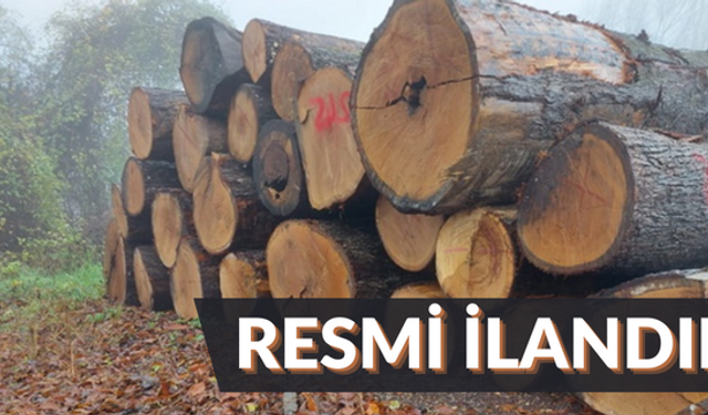 ORMAN EMVALİ İSTİFLEME İŞİ