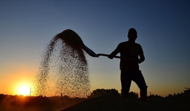 Çiftçilere 350 milyon 968 bin lira tarımsal destekleme ödemesi bugün yapılacak
