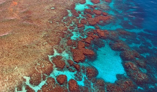 Bilim İnsanları Resifleri Ses Dalgalarıyla Yeniden Canlandırmaya Çalışıyor