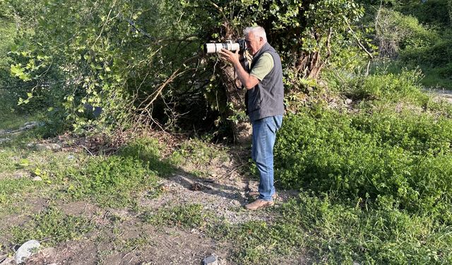 Fotoğrafladığı Kuş Türlerini Kitapta Bir Araya Getirdi