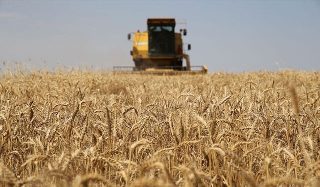 Çiftçilerin Hesabına Destekleme Ödemesi Olarak 119,1 Milyon Lira Aktarıldı