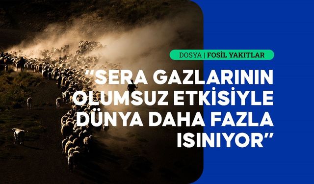 Sera Gazı Etkisi Sıcaklık Rekorlarını Tetikliyor