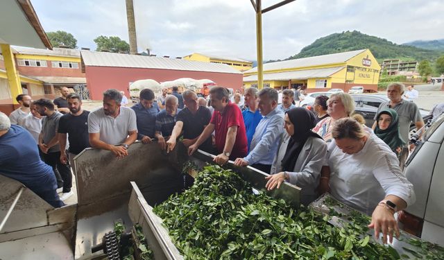 Sarp Gümrük Kapısı ve Çay Fabrikasını İnceledi