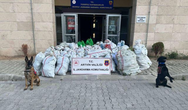 502 Kilogram Esrar Ele Geçirildi