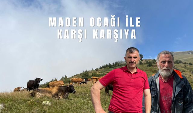 Kabaca Yaylası Maden Ocağı İle Karşı Karşıya