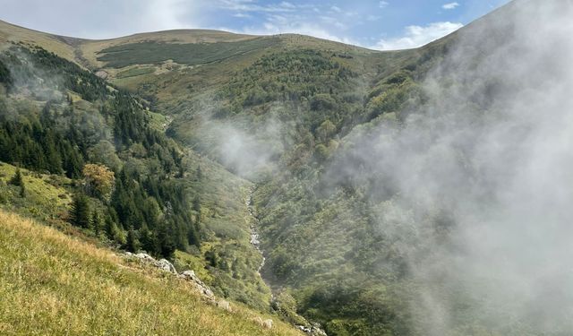 Kabarca Yaylası Manzarası İle Büyülüyor