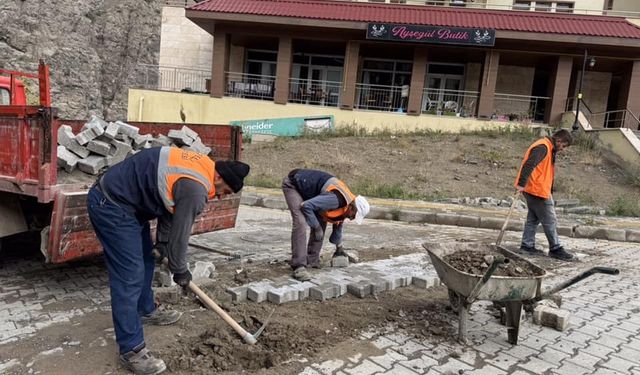 Doğalgaz Çalışmalarının Ardından Yol Onarımları Devam Ediyor