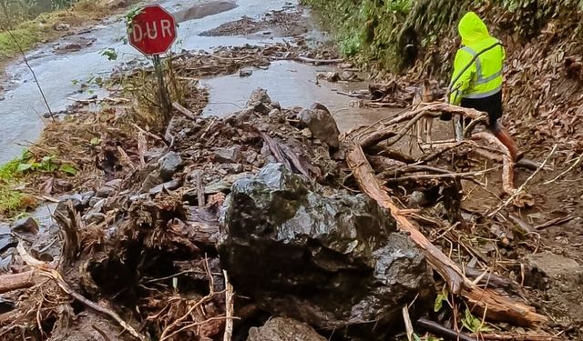 Rize'de Şiddetli Yağış Nedeniyle 21 Köy Yolunda Heyelan Oldu