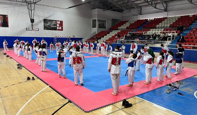 Taekwondoda Dostluk Tatamide Pekişiyor