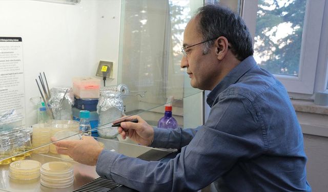 Bakteriyel Gübre Çalışmalarıyla Hem Verim Artacak Hem Kimyasal Kalıntı Azalacak