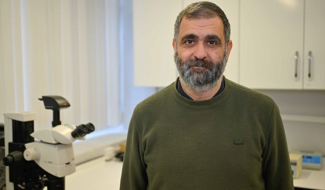 Genetik Bilimi, İnsanda Biyolojik Anlamda "ırk" Kavramının Var Olmadığını Ortaya Koyuyor