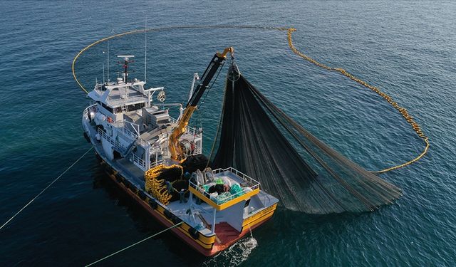 Karadeniz'in Su Ürünleri İhracat Geliri Yılın İlk Ayında 28 Milyon Doları Aştı