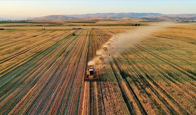 Kırsal Kalkınmada 246,6 Milyar Liralık Yatırım Ülke Ekonomisine Kazandırıldı