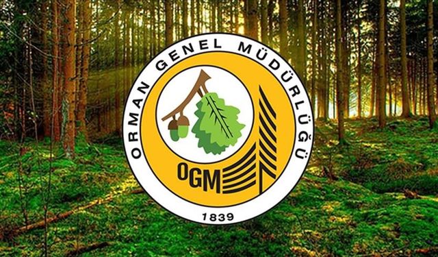 Orman Genel Müdürlüğü 252 Daimi İşçi İstihdam Edecek