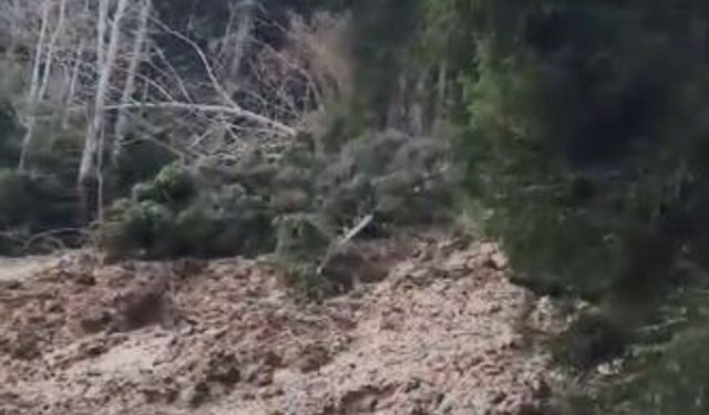 Artvin’de Heyelan Ormanı Yerle Bir Etti, Köy Yolunu Ulaşıma Kapattı