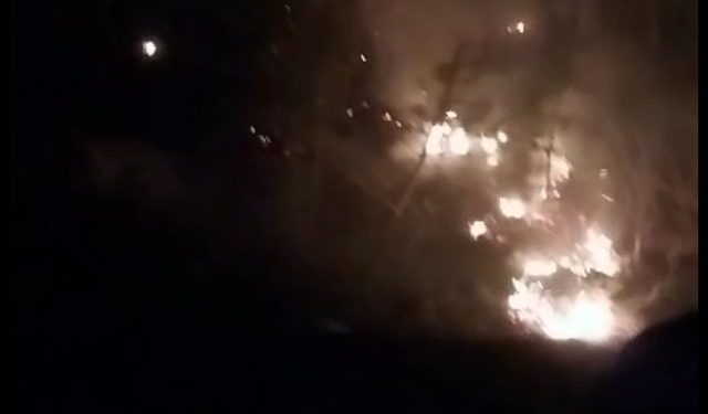 Artvin'de Orman Yangını Kontrol Altına Alındı