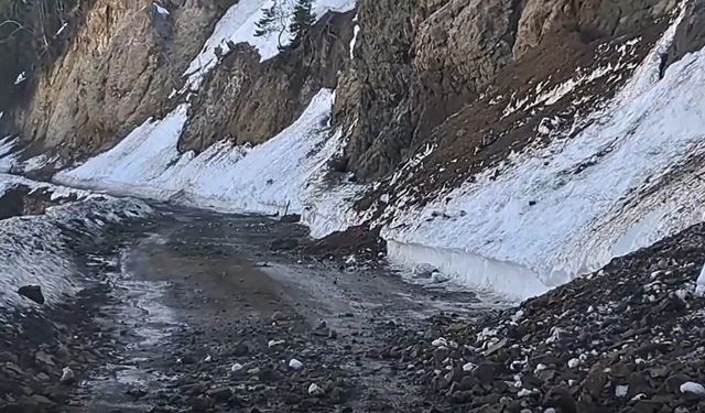 Ardanuç'ta Heyelanlar Tehlike Oluşturuyor