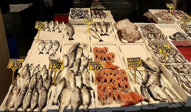 Mezgit ve İstavrit Kilogramı 250 Liradan Satılıyor