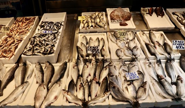 Trabzon'da Mezgit ve İstavrit Kilogramı 250 Liradan Satılıyor