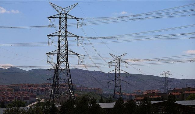 Türkiye'nin Elektrik Dağıtım Hattı Özelleştirme Sonrası Yüzde 50 Büyüdü