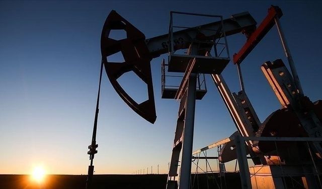 Türkiye'nin Petrol İthalatı Şubatta Yüzde 0,1 Azaldı