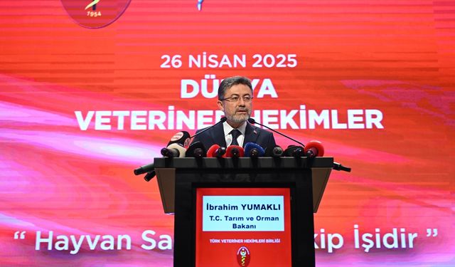 Veteriner Hekimler, Sahipsiz Köpek Sorununun Çözümünde Daha Fazla Görev Üstlenecek