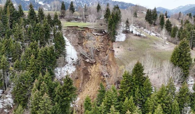 Ardanuç’ta Ormanlık Alanda Yaşanan Heyelan Korkuttu